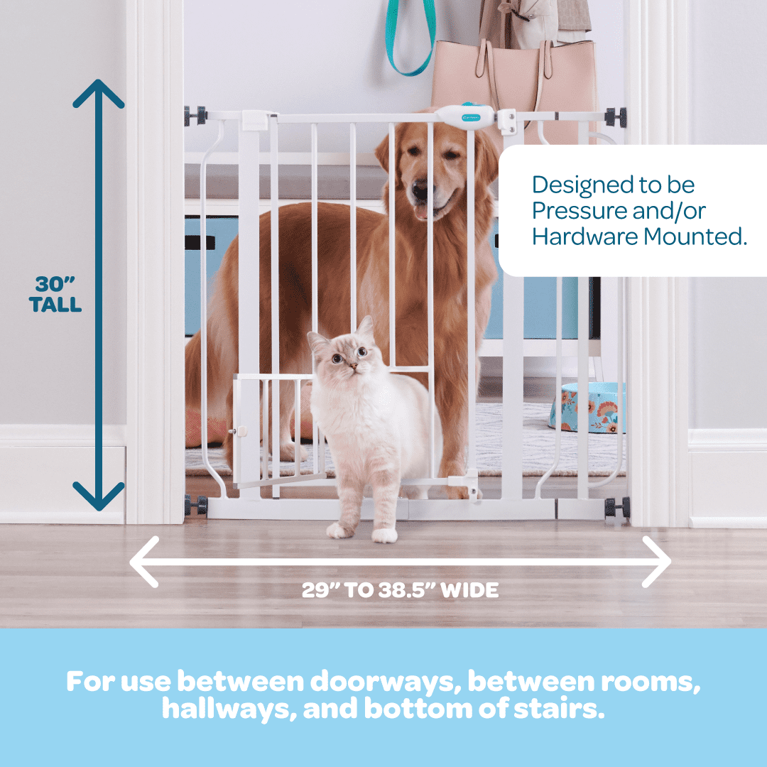 Carlson Pet Products Metal Dog Gate with Walk-Through and Additional Small Door, 31" Tall, White