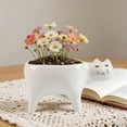 thumbnail image 4 of Cute Shaped Ceramic Planter Pot, for Succulents Cactus Small Plants Home Decor, 4 of 7