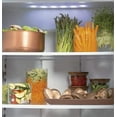 thumbnail image 6 of Ge Cafe CSB42WP2NS1 42 Inch Built In Counter Depth Side by Side Refrigerator in Stainless Steel, 6 of 6