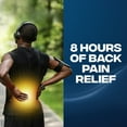 Advil Dual Action Back Pain Caplets Delivers 250Mg Ibuprofen and 500Mg