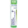 Boiron Gelsemium Sempervirens 6X, Homeopathic Medicine for Apprehension With Trembling, Headaches, 80 Pellets