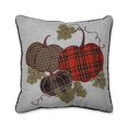 thumbnail image 2 of Pillow Perfect 630076 Récolte Plaid Citrouilles Applique Jeter Oreiller&44; Multicolore, 2 of 4