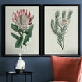 thumbnail image 3 of 2 Piece Set Protea N13 Premium Framed Canvas - Ready to Hang - 26.5 x 36.5 Each - Silver Frame, 3 of 8