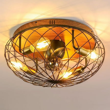 

Low Profile Small Flush Mount Farmhouse Industrial Caged Ceiling Fan with Lights，6 Speed Bladeless Black Ceiling Fan with Remote Control for Living Room Bedroom Kitchen Dining Room