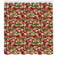 thumbnail image 3 of Ambesonne Fruits Shower Curtain, Organic Garden Harvest, 69"Wx84"L, White Green and Red, 3 of 3