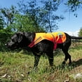 thumbnail image 3 of SafetyPUP XD - Protect Your Best Friend. Our Hi-Vis Fluorescent, Reflective Dog Vest Provides Crucial Visibility Helping You Safeguard Your Pet from Cars & Hunting Accidents, On or Off Leash, 3 of 7