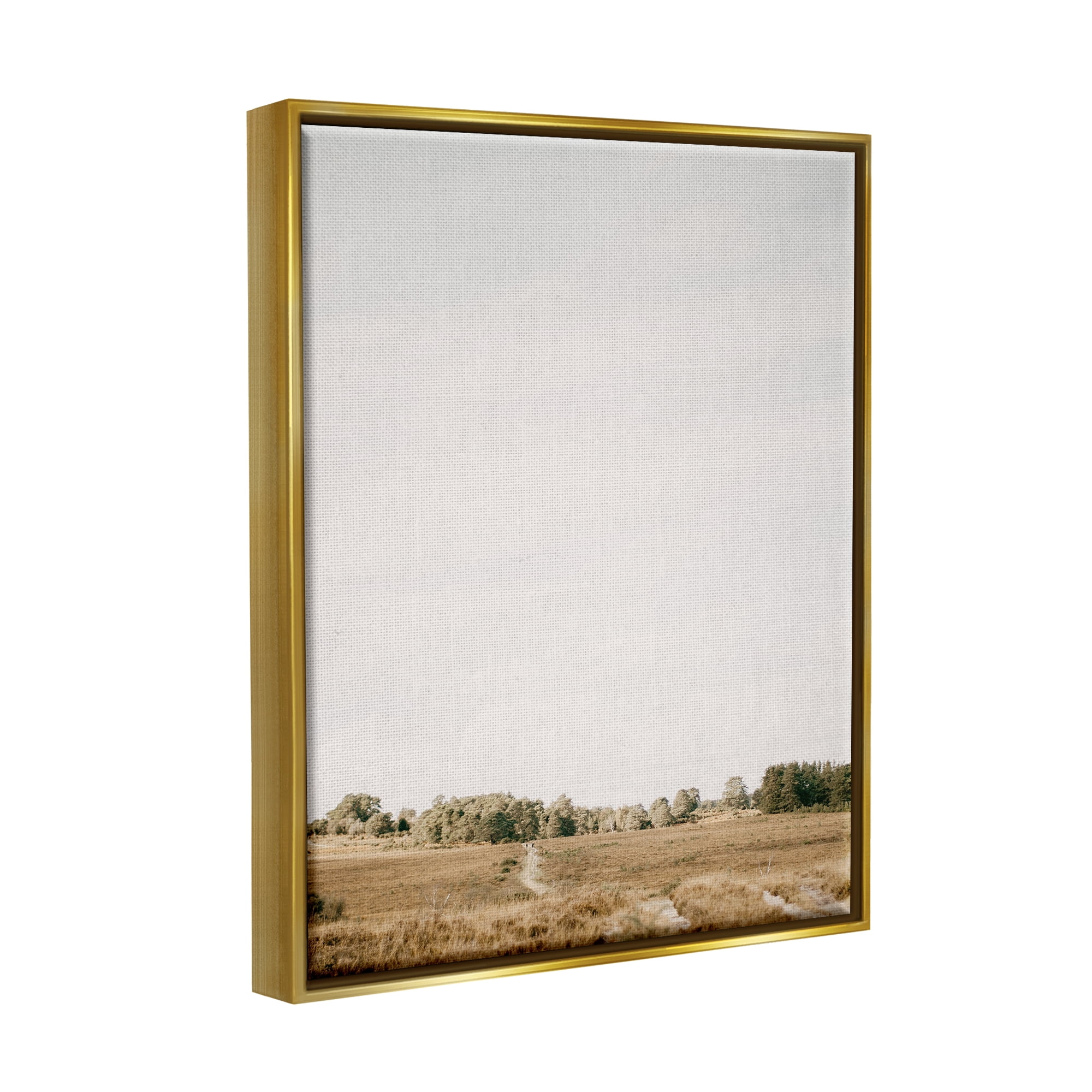 Stupell Industries Country Sky Photography Landscape Photography Gold Floater Framed Canvas Art Print Wall Art, 17 x 21