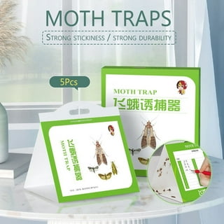 Pantry Moth Traps,sticky Moths Trap,with For Indoor Use House Moth Food And Kitchen  Cupboard Safe And Effective Moth Catcher For Your Home(without Pheromones)  - Temu Mexico