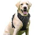 thumbnail image 1 of No-pull Dog Harness Padded Adjustable Pet Vest Harness For Large Dogs Training Or Walking, 1 of 5