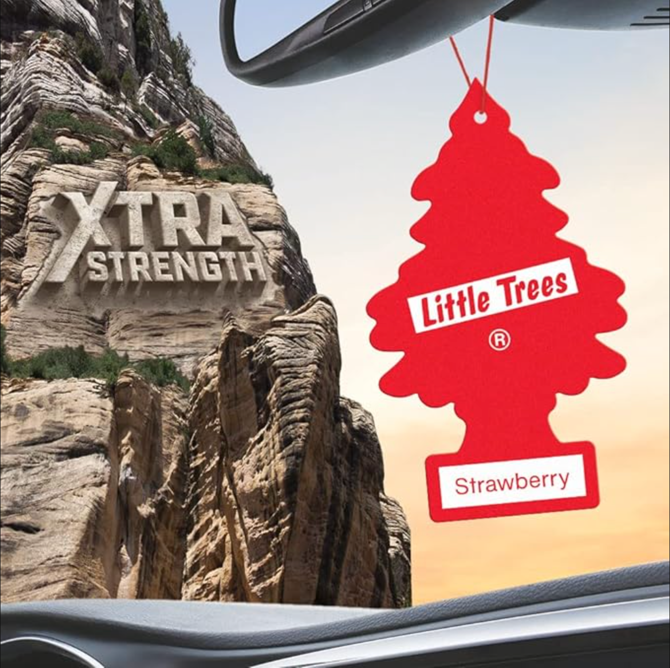 New Car Xtra Strength Little Trees Air Freshener 10612 Pack of 12