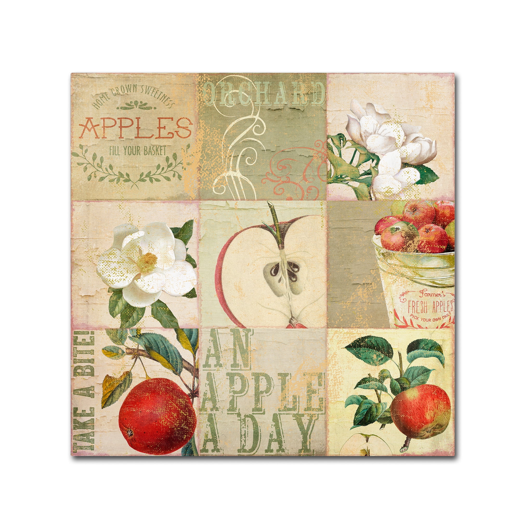 Trademark Fine Art "Apple Blossoms III" Canvas Art by Color Bakery