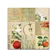 thumbnail image 2 of Trademark Fine Art "Apple Blossoms III" Canvas Art by Color Bakery, 2 of 4