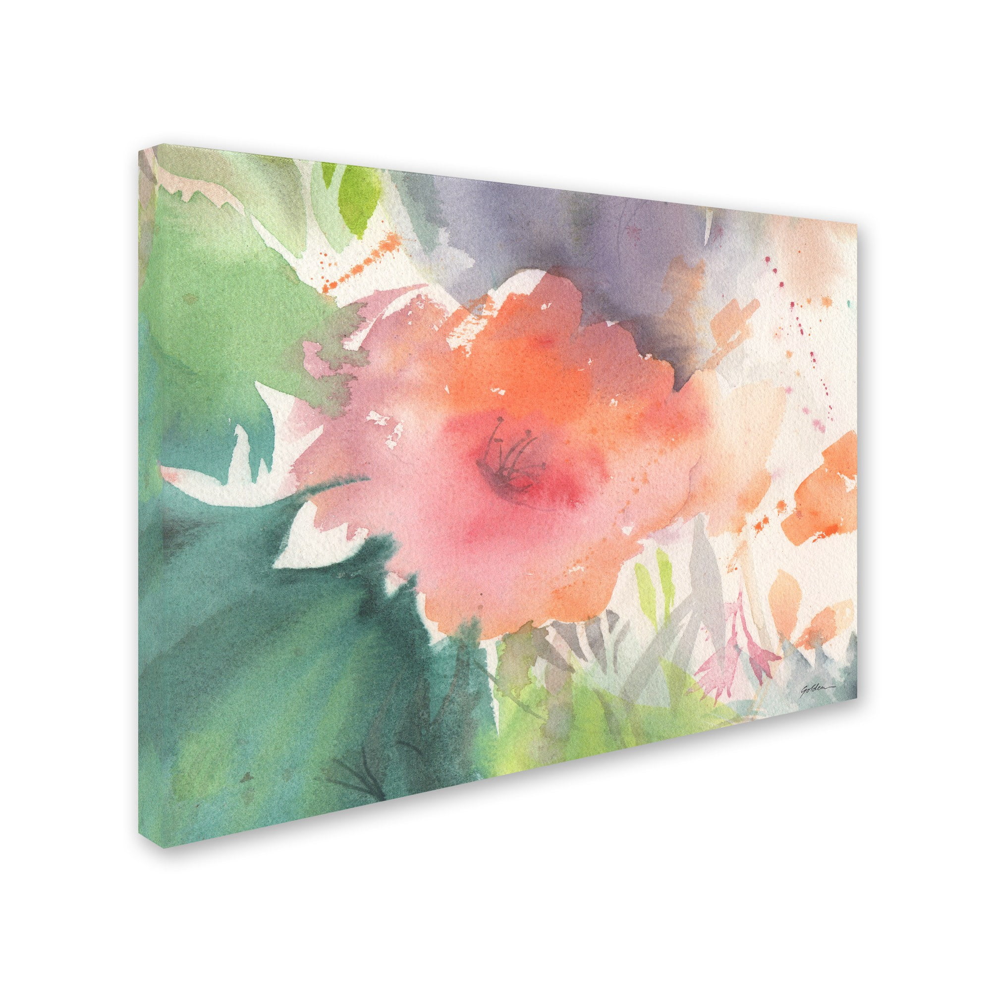 Trademark Fine Art Sheila Golden Coral Blossom Canvas Wall Art - 24x32