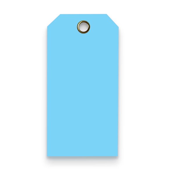 Blank Heavy Duty 15 Mil Waterproof Plastic Tags - Equipment - Valve - Backpack - Pack Of 100 (2"" X 4"" Light Blue)