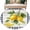 Multicolor, variant on 3'x5' Rug for Living Room Bedroom, Yellow Lemon Washable Area Rugs Non-Slip Carpet Mats, Summer Botanical Black White Checkered Indoor Low Pile Area Rug Runner for Kitchen, Mudroom