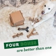 thumbnail image 2 of ​​4-Pack of Durable Dog Chew Toys - Classic Chew Collection with Real Flavor & Long-Lasting Play, 2 of 9