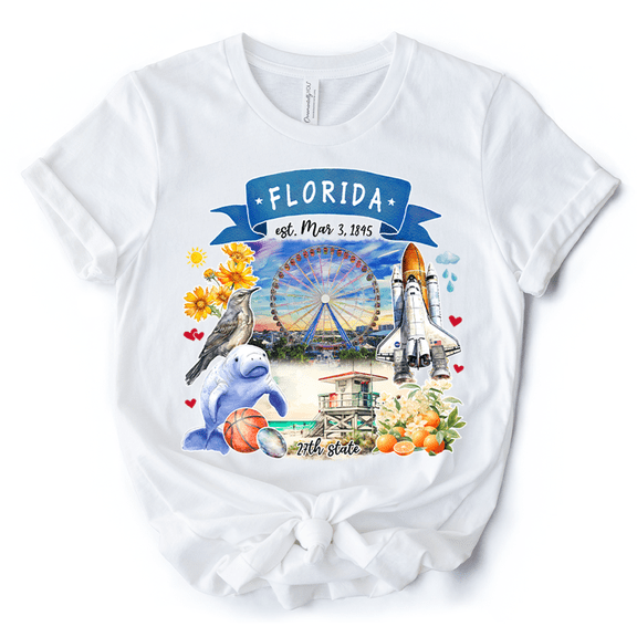 Artistic Florida State Themes and Landmarks T-Shirt, Tee for History and Travel Lovers