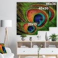 thumbnail image 5 of Design Art - Plume de Paon, 5 of 5