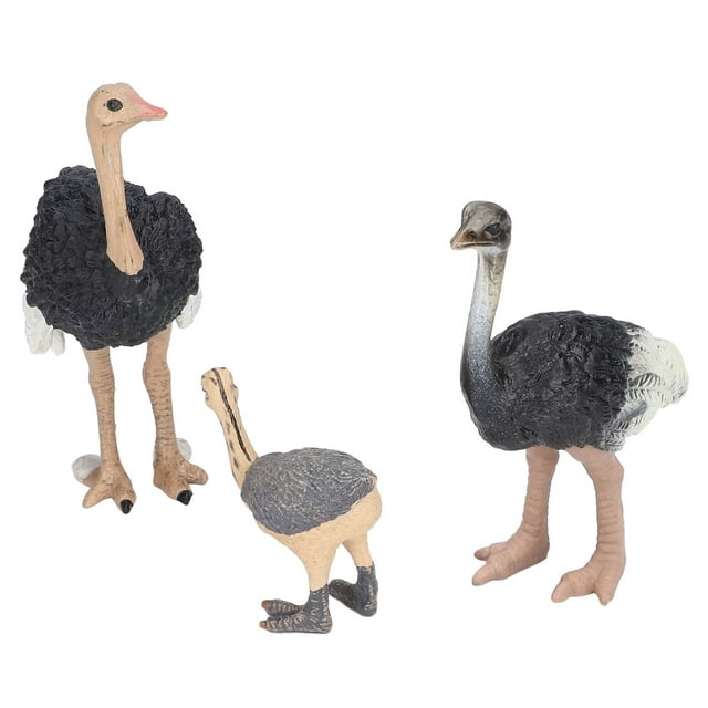 Animales del zoológico, juguete de avestruz, modelo de animal de juguete de avestruz pintado a mano, diseñado para profesionales