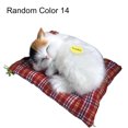 thumbnail image 2 of HEVIRGO Simulation Mini Cat High Simulation Breathable Birthday Gifts Cloth Pad Plush Cats for Kids,Random Color 14, 2 of 10