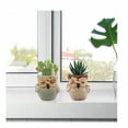 thumbnail image 4 of 6 piezas de macetas de plantas suculentas, Mini búho, maceta de cerámica para flores, bonsái en maceta, regalo de Cactus, decoración de ventanas para mesa de oficina en casa brillar Electrónica, 4 of 5