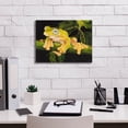thumbnail image 3 of Epic Graffiti 'Musky Flying Frog' by Barbara Keith, Canvas Wall Art, 16"x12", 3 of 8