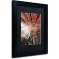 thumbnail image 2 of Trademark Fine Art "Unsteady" Canvas Art by Philippe Sainte-Laudy Black Matte, Black Frame, 2 of 4