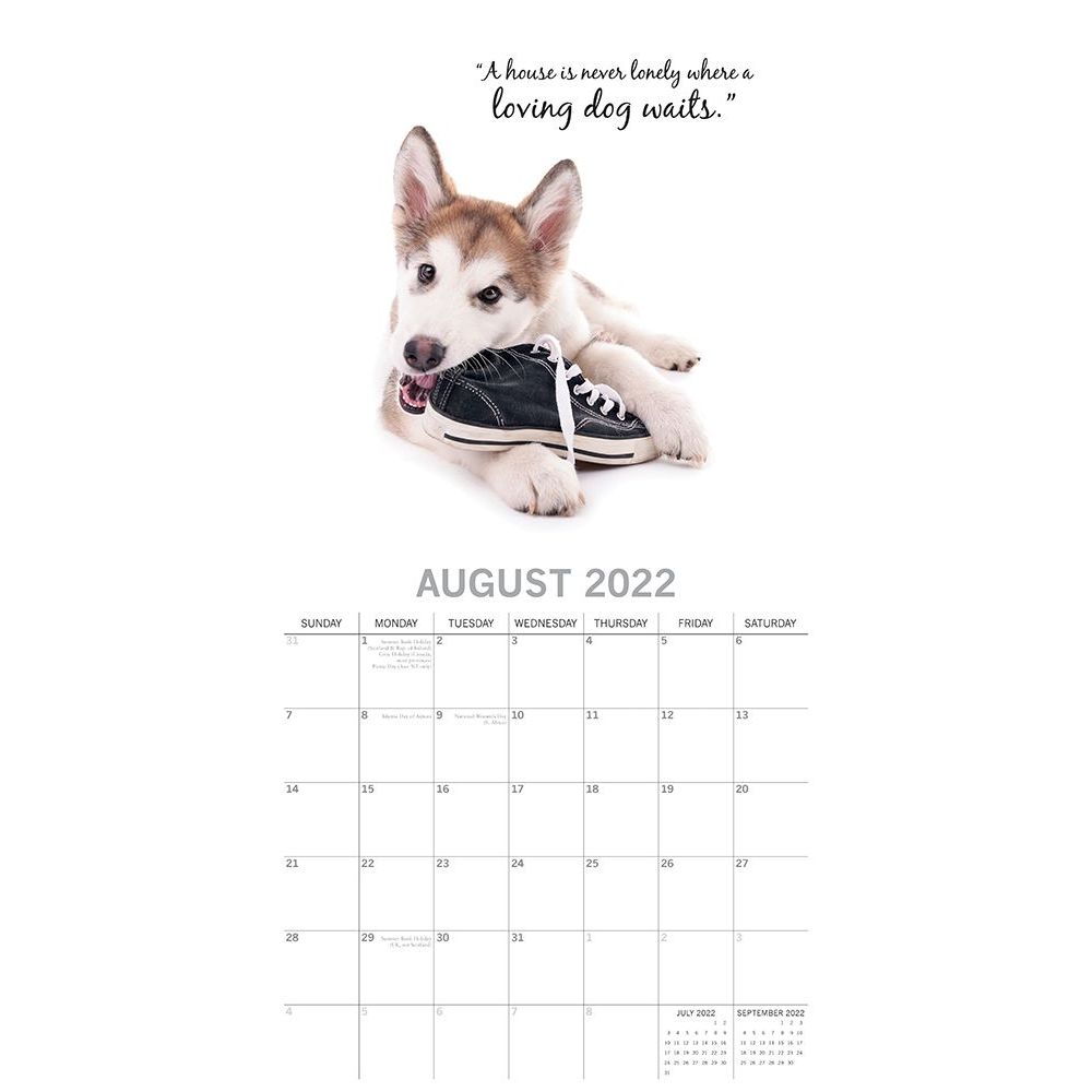 adorable dogs 2022 wall calendar walmart com