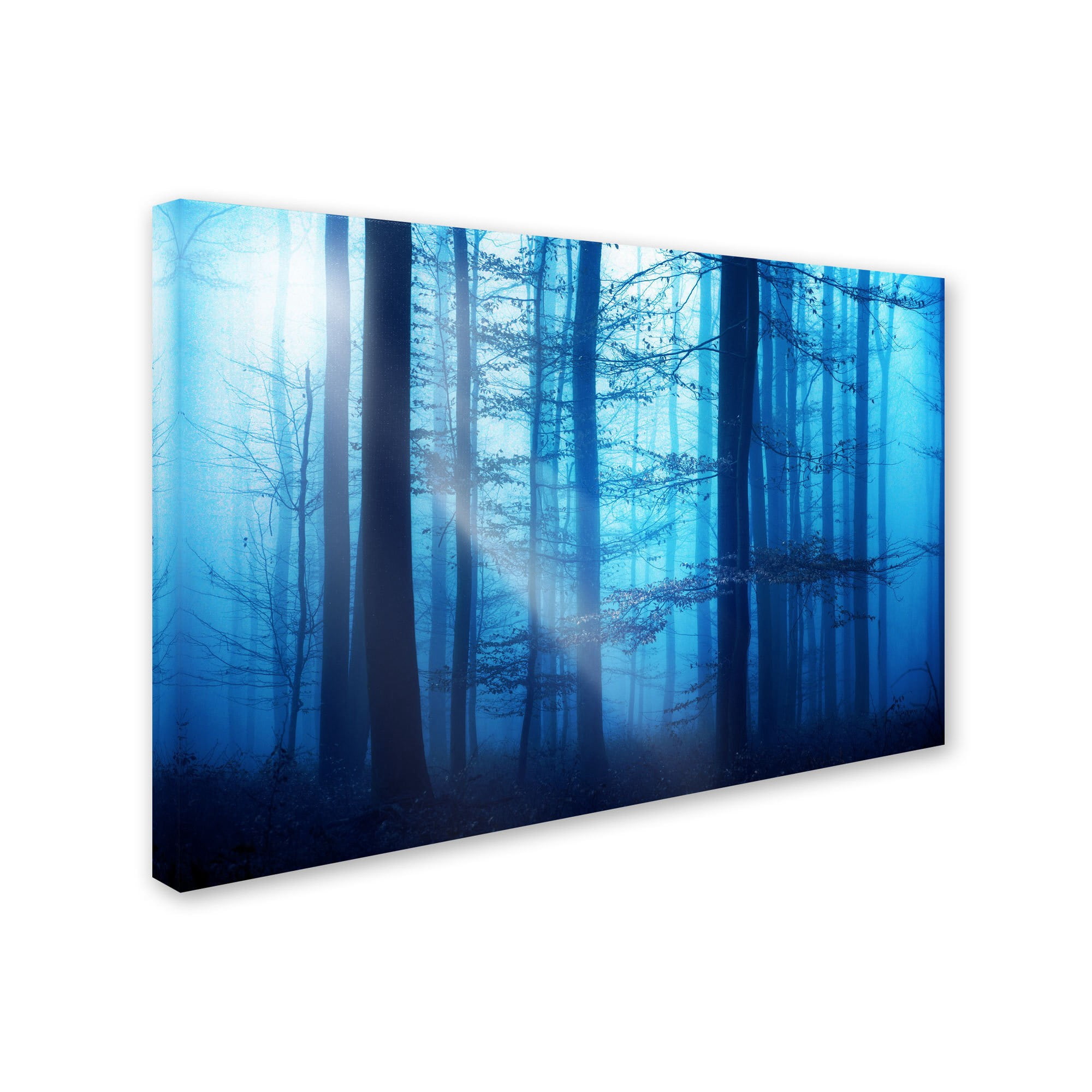 Trademark Fine Art "Light Box Blues" Canvas Art by Philippe Sainte-Laudy