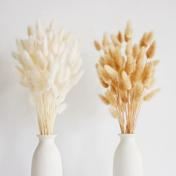 100 PcS Bunny Tails Dried Flowers, Dried Pampas grass Bouquet, Boho Table Decor, White Pampas grass Small, Dried Bunny Tails, Pampas grass for Wedding, Home, Rustic Party, Baby Shower Decora