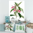 thumbnail image 2 of Designart ' Ancient American Flora VII ' Traditional Canvas Wall Art Print, 2 of 4