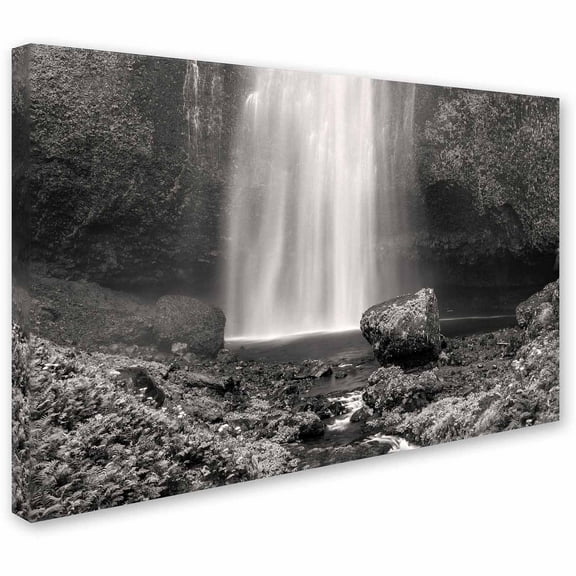 Trademark Fine Art "Multnomah BW" Canvas Art by Pierre Leclerc