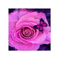 thumbnail image 1 of 5D DIY Hada Mariposa Rosa Flor Pintura de diamantes de imitación Costura Floral Bordado de diamantes Imágenes Decoración de punto de cruz Inevent JJ15242-07, 1 of 6