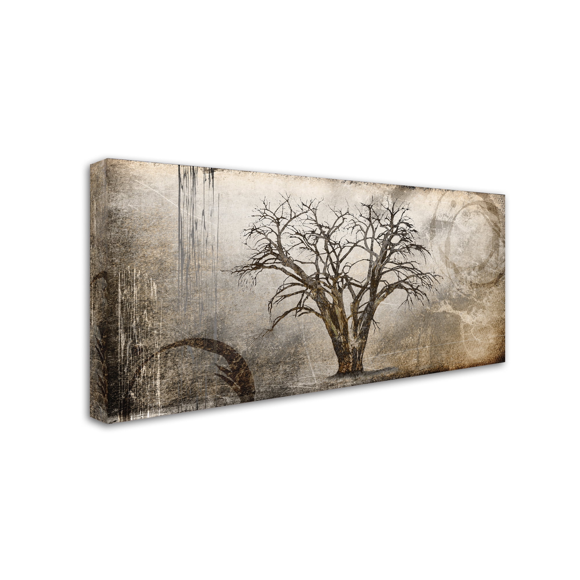 Trademark Fine Art 'Cottonwood Tree Part 07' Canvas Art by LightBoxJournal