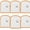 C, variant on Bread Sponges, 6-Pack Toast Shaped Pop-Up Compostable Cellulose Sponges, Non-Scratch Kitchen Scrubber