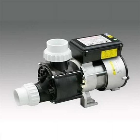 Spa Parts WBH150 115V 9A Bath Pump LX Front & Top with Air Switch