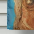 thumbnail image 4 of Carolines Treasures 7314CHF Irish Setter In Blue Flag Canvas House Size, 4 of 4