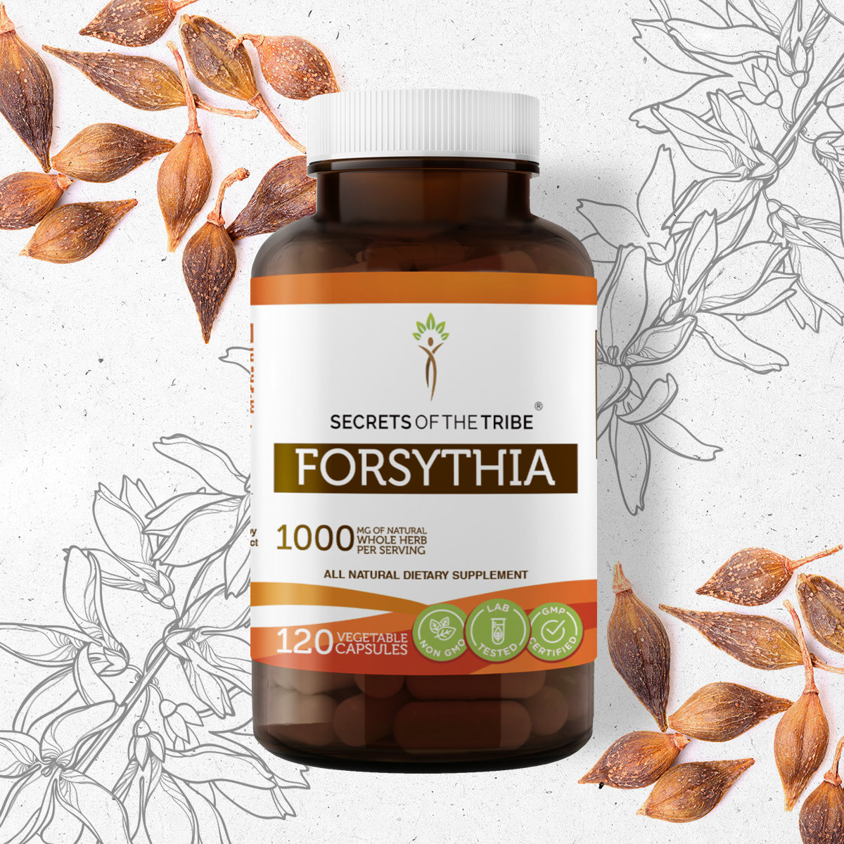 Secrets Of The Tribe Forsythia 1 Capsules 500 Mg Organic Forsythia Lian Qiao Forsythia Suspensa Dried Fruit Walmart Com Walmart Com