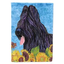 Carolines Treasures SS4123-FLAG-PARENT Briard Flag  multicolor