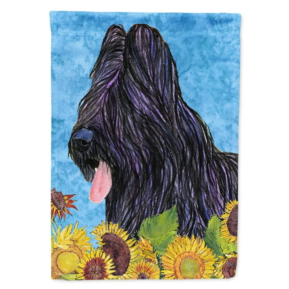Carolines Treasures SS4123-FLAG-PARENT Briard Flag multicolor
