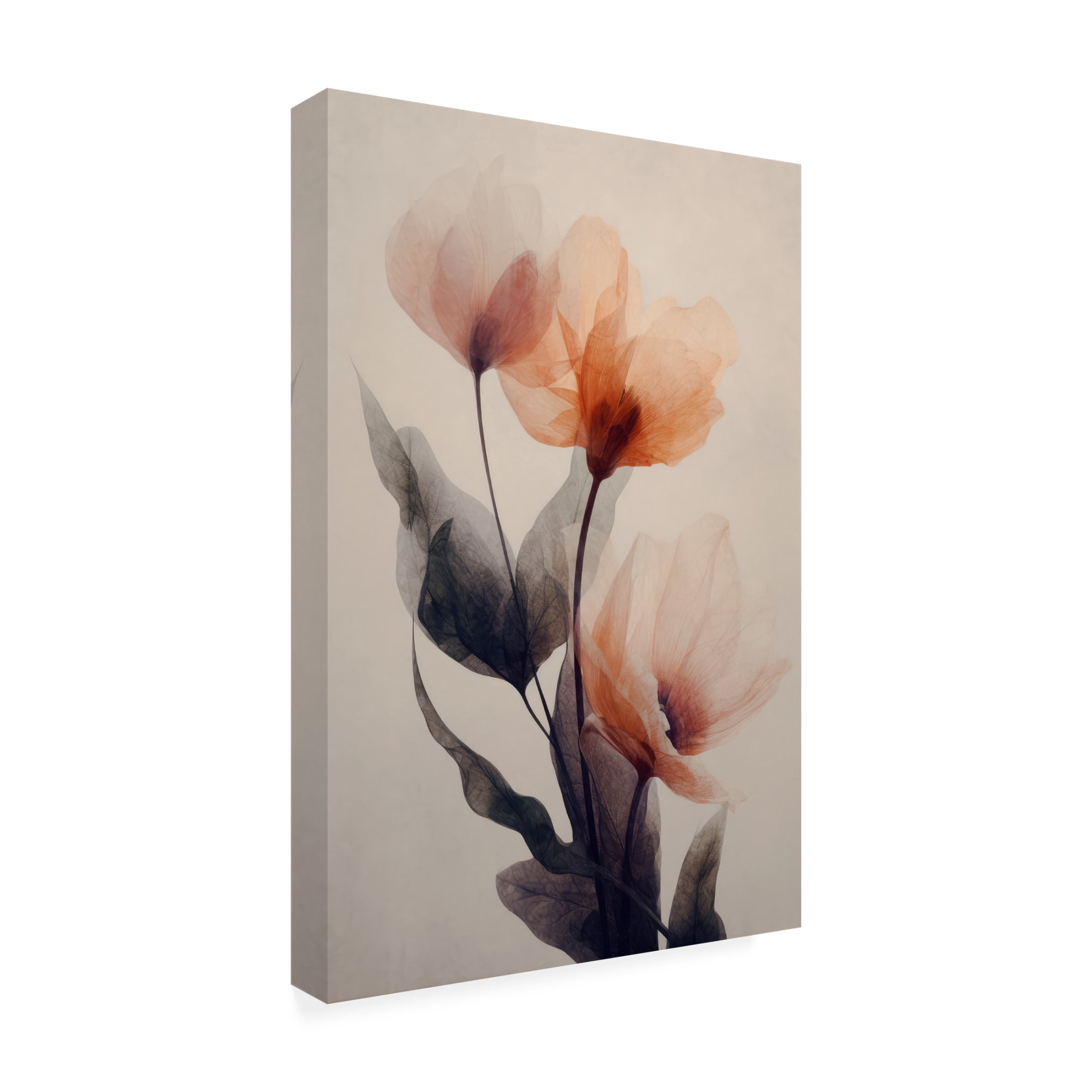 Canvas Wall Art - Treechild 'Parchmentflowersno8' Wall Art for Living Room, Bedroom, or Office Décor by Trademark Fine Art - 22 x 32 Inches