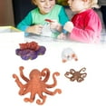 thumbnail image 4 of Growth Cycle Toy, Octopus Shape Growth Cycle Model Vivid Real Exquisite Beautiful  For Early Education, 4 of 8