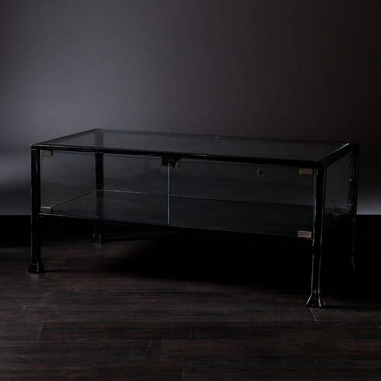 Southern enterprises terrarium glass display coffee table in black deals