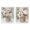 Brushed White Roses Bouquet, variant on Stupell Industries Brushed White & Beige Roses 2 Piece Black Framed Floater Canvas Set, design by Nan