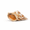 Spotted Triton, variant on Large Conch Shell For Aquarium And Beach Decor (triton)