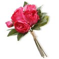 thumbnail image 1 of Faisceau de Pivoines Rose Vif, 1 of 1