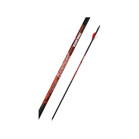 Black Eagle Renegade 6pk Carbon Arrows