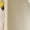 Beige, variant on Toddler Girls Be𝖺r Ears Hooded Long Sleeve Snow Windproof Zipper Coat Winter Warm Fleec𝖾 Coats Puffer Jackets Down Alternative Outerwear Kids Cold Weather