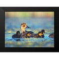 thumbnail image 2 of Fitzharris, Tim 14x11 Black Modern Framed Museum Art Print Titled - Lesser Scaup Hen with Young, 2 of 5