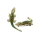 thumbnail image 1 of Pin de broche de cristal de de punk de estilo vintage para hombre fiesta de Halloween Zulema Pin de broche, 1 of 7